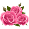 Logo Drei Rosen